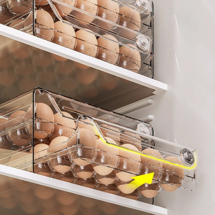 Large Single Layer 20 Grid Egg Storage Box PET Transparent Multi-Specification Egg Box by bashfashion